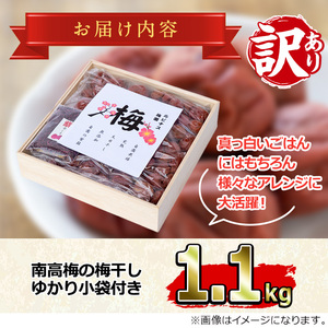 ＜訳あり＞ 南高梅 梅干し (1.1kg) 国産 うめ うめぼし 紫蘇【ルピナス会】【0111503a】