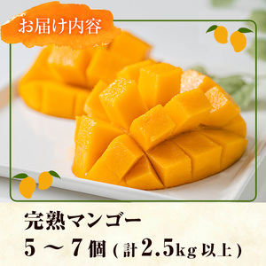 【0255911a】<先行予約・数量限定>南国 鹿児島県産 太陽の恵み!完熟マンゴー(計2.5kg以上・5-7個入り) 果物 フルーツ 果実 デザート 国産 冷蔵 【東串良物産館ルピノンの里】