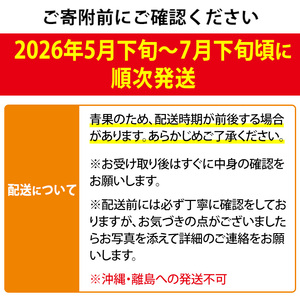 【0255911a】<先行予約・数量限定>南国 鹿児島県産 太陽の恵み!完熟マンゴー(計2.5kg以上・5-7個入り) 果物 フルーツ 果実 デザート 国産 冷蔵 【東串良物産館ルピノンの里】