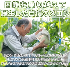 【10882】鹿児島県東串良町産の高級アールスメロン(3L×1玉)【まる美園芸組合】