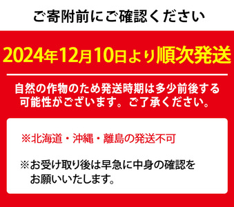 【0113605a】自慢の農家×老舗青果店の新鮮いちご・さがほのか(250g以上×4P) イチゴ 苺 フルーツ 果物 果実 数量限定 期間限定【有留青果】