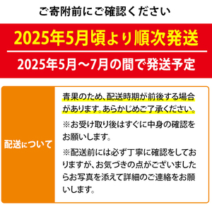 【1005301a】ゆきちゃん農園のパッションフルーツ(1.2kg以上) フルーツ 果物 果実 1キロ 期間限定【ゆきちゃん農園】