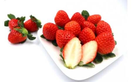 No.1400-2 横原さんちのいちご 『 さがほのか 』 約1kg