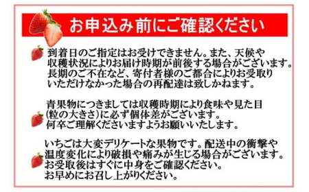 No.1400-2 横原さんちのいちご 『 さがほのか 』 約1kg