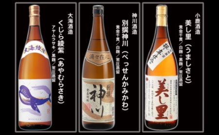 No.10004-1 大隅蔵めぐり　飲み比べ一升瓶10本セット