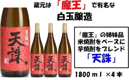 No.3029-1 【魔王の姉妹品】白玉醸造の「天誅」4本セット 11,100円