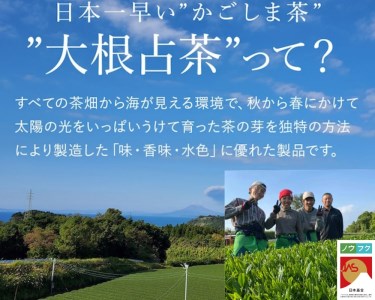 No.058-1 鹿児島茶 GOéN.ギフトセット【ノウフクJAS認証茶】（100g×2袋）