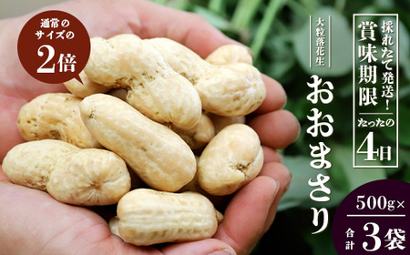 【先行予約】食べ応え抜群の大粒落花生「おおまさり」500g袋×3袋≪数量限定≫ FR-312|鹿児島県産 野菜 やさい 食品 人気 おすすめ 送料無料 落花生 おおまさり 産地直送 新鮮 南大隅町