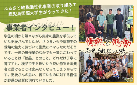 【先行予約】食べ応え抜群の大粒落花生「おおまさり」500g袋×4袋≪数量限定≫ FR-313|鹿児島県産 野菜 やさい 食品 人気 おすすめ 送料無料 落花生 おおまさり 産地直送 新鮮 南大隅町