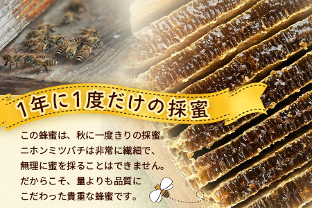 蜂蜜 百花はちみつ 580g《数量限定》【日本みつばち】 TU-001 | 国産 はちみつ ハチミツ 蜂蜜 ハニー 百花蜜 百花はちみつ 天然 非加熱 産地直送 鹿児島県 南大隅町 椿山ファーム