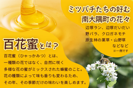 蜂蜜 百花はちみつ 580g《数量限定》【日本みつばち】 TU-001 | 国産 はちみつ ハチミツ 蜂蜜 ハニー 百花蜜 百花はちみつ 天然 非加熱 産地直送 鹿児島県 南大隅町 椿山ファーム
