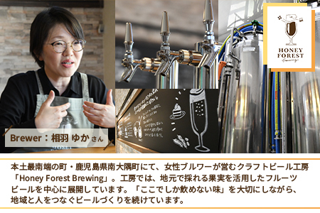 SunSunALE【たんかん３本セット】 HF-711 ｜クラフトビール 柑橘 たんかん  手作り はちみつ 南大隅町 人気 ビール