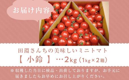 田淵さんちの美味しいミニトマト小鈴 2kg（1.0kg×2箱）