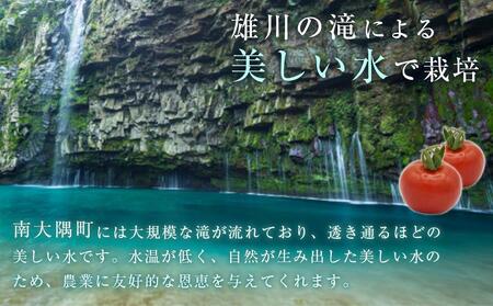 田淵さんちの美味しいミニトマト小鈴 2kg（1.0kg×2箱）