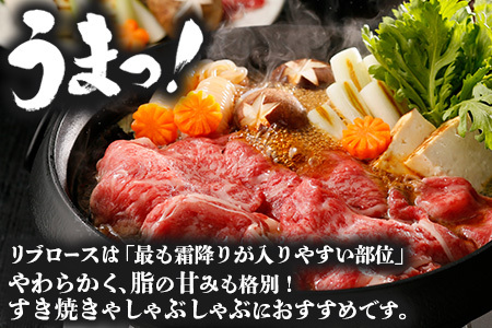 【鹿児島黒牛】リブロース スライス セット 約300g×2P W7001 | 国産 国産牛 鹿児島県 牛肉 黒牛 黒毛和牛 和牛 リブロース スライス すき焼き しゃぶしゃぶ 冷凍 産地直送 南大隅町 JA鹿児島きもつき