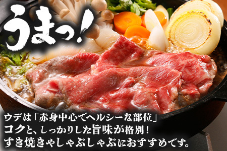 【鹿児島黒牛】ウデ スライス セット 約300g×2P JA-002 | 国産 国産牛 鹿児島県 牛肉 黒牛 黒毛和牛 和牛 ウデ スライス すき焼き しゃぶしゃぶ 冷凍 産地直送 南大隅町 JA鹿児島きもつき