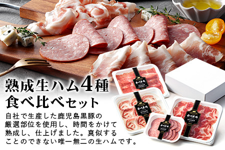 ［新春］【定期便全3回】かごしま黒豚熟成生ハム４種食べ比べ セット（約540g）NS-519 | 国産 肉 お肉 豚肉 豚 にく ぶた 生ハム 最高峰 熟成ハム コッパ パンチェッタ コッホサラミ スパイス サラミ 冷蔵 詰め合わせ 産地直送 ギフト プレゼント 贈り物 鹿児島県 南大隅町 南州農場