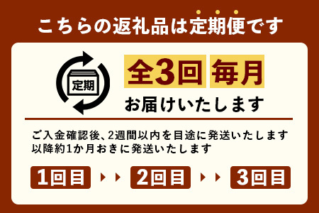 ［新春］【定期便全3回】かごしま黒豚熟成生ハム４種食べ比べ セット（約540g）NS-519 | 国産 肉 お肉 豚肉 豚 にく ぶた 生ハム 最高峰 熟成ハム コッパ パンチェッタ コッホサラミ スパイス サラミ 冷蔵 詰め合わせ 産地直送 ギフト プレゼント 贈り物 鹿児島県 南大隅町 南州農場