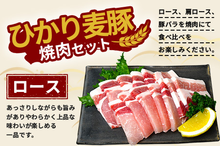 鹿児島県産 ひかり麦豚 焼肉 食べ比べ セット 600g（300g×2パック）＋ 楽塩の粗びき塩こしょう HM-703 | 肉 お肉 にく 豚肉 ロース 肩ロース バラ肉 スライス 粗挽き 塩コショウ 冷凍 真空冷凍 産地直送 新鮮 小分け 甘み 鹿児島県 南大隅町 ひかり麦豚直売所