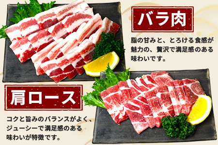 鹿児島県産 ひかり麦豚 焼肉 食べ比べ セット 600g（300g×2パック）＋ 楽塩の粗びき塩こしょう HM-703 | 肉 お肉 にく 豚肉 ロース 肩ロース バラ肉 スライス 粗挽き 塩コショウ 冷凍 真空冷凍 産地直送 新鮮 小分け 甘み 鹿児島県 南大隅町 ひかり麦豚直売所