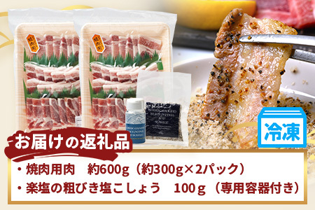 鹿児島県産 ひかり麦豚 焼肉 食べ比べ セット 600g（300g×2パック）＋ 楽塩の粗びき塩こしょう HM-703 | 肉 お肉 にく 豚肉 ロース 肩ロース バラ肉 スライス 粗挽き 塩コショウ 冷凍 真空冷凍 産地直送 新鮮 小分け 甘み 鹿児島県 南大隅町 ひかり麦豚直売所