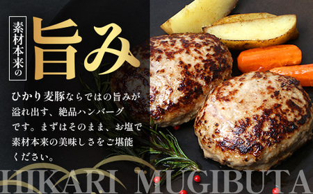 鹿児島県産 ひかり麦豚 手捏ねハンバーグ セット サイズ違い 大中小 ≪合計22個≫  HM-705 | 肉 お肉 にく 豚肉 絶品 ハンバーグ 添加物不使用 肉汁 ジューシー おかず お弁当 ロコモコ 冷凍 産地直送 小分け 鹿児島県 南大隅町 ひかり麦豚直売所