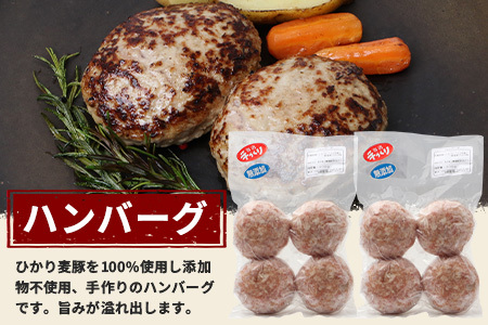 鹿児島県産 ひかり麦豚 ≪手作り惣菜セット≫ ハンバーグ(4個×2P) / メンチカツ(4個×2P) / とんかつ(3枚×1P) HM-706  | 肉 お肉 にく 豚肉 焼くだけ 揚げるだけ おかず お弁当 冷凍 パック 産地直送 小分け 鹿児島県 南大隅町