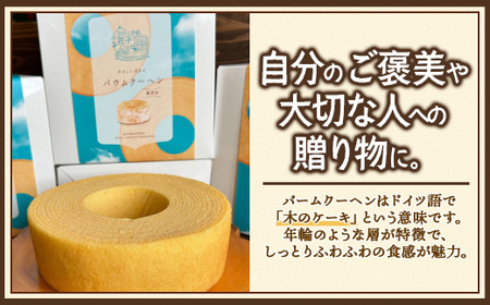 バウムクーヘン ＜プレーン＞直径約15cm SH-711 │ バウムクーヘン バームクーヘン スイーツ ケーキ 焼き菓子 洋菓子 お菓子 おかし おやつ デザート プレゼント 贈り物 ギフト 常温 鹿児島県 南大隅町 31℃LINE花子