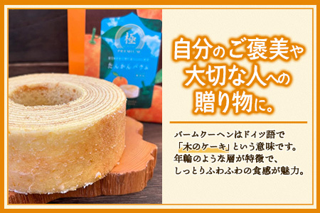 バウムクーヘン  ≪極≫ たんかん 直径約15cm SH-712 │ バウムクーヘン バームクーヘン スイーツ ケーキ 焼き菓子 洋菓子 お菓子 おかし おやつ デザート プレゼント 贈り物 ギフト 常温 鹿児島県 南大隅町 31℃LINE花子