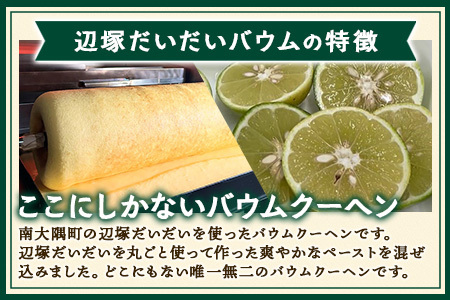  ≪極≫ 辺塚だいだい バウムクーヘン　1個 ｜菓子 おかし スイーツ デザート バウムクーヘン 食品 人気 おすすめ 柑橘 SH-713