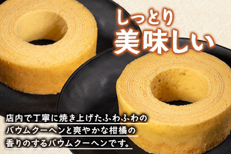 バウムクーヘン 2個セット ( プレーン ・ たんかん ) SH-714 ｜バウムクーヘン バームクーヘン スイーツ ケーキ 焼き菓子 洋菓子 お菓子 おかし おやつ デザート プレゼント 贈り物 ギフト 常温 鹿児島県 南大隅町 31℃LINE花子