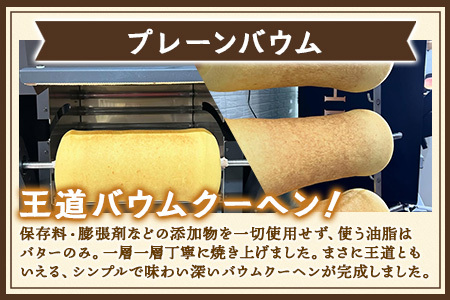 バウムクーヘン 2個セット ( プレーン ・ 辺塚だいだい) SH-715 ｜バウムクーヘン バームクーヘン スイーツ ケーキ 焼き菓子 洋菓子 お菓子 おかし おやつ デザート プレゼント 贈り物 ギフト 常温 鹿児島県 南大隅町 31℃LINE花子