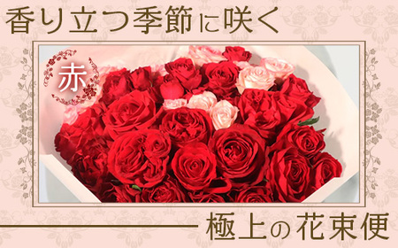 【人気の春・冬薔薇をお届け】 ばら農家直送 ！ バラ花束15本以上お届け(赤系) 【ギフト対応可】  ≪2026年1月1日～8日 日付指定不可≫ TB-9│ローズ 新鮮 花 フラワー 花束 ばら 薔薇 バラ 誕生日 記念日 結婚祝い ギフト プレゼント お祝い 贈り物 贈答 鹿児島県 南大隅町 富田バラ園
