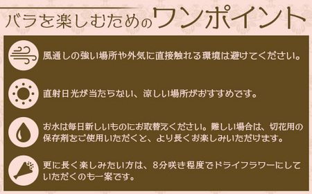 【人気の春・冬薔薇をお届け】 ばら農家直送 ！ バラ花束15本以上お届け(赤系) 【ギフト対応可】  ≪2026年1月1日～8日 日付指定不可≫ TB-9│ローズ 新鮮 花 フラワー 花束 ばら 薔薇 バラ 誕生日 記念日 結婚祝い ギフト プレゼント お祝い 贈り物 贈答 鹿児島県 南大隅町 富田バラ園