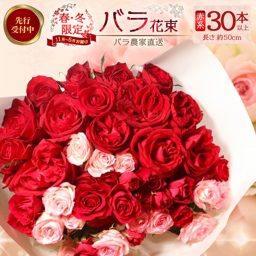 【人気の春・冬薔薇をお届け】 ばら農家直送 ！ バラ花束30本以上お届け(赤系) 【ギフト対応可】 TB-13│ローズ 新鮮 花 フラワー 花束 ばら 薔薇 バラ 誕生日 記念日 結婚祝い ギフト プレゼント お祝い 贈り物 贈答 鹿児島県 南大隅町 富田バラ園