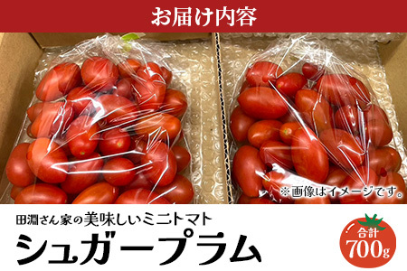 《期間限定》田淵さんちの美味しい ミニトマト シュガープラム（約700g）GP-1｜鹿児島県 南大隅 産地直送 旬 とまと トマト ミニトマト リコピン 完熟 甘い 高糖度 野菜 やさい 送料無料