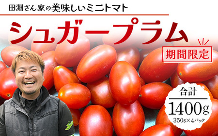 《期間限定》田淵さんちの美味しい ミニトマト シュガープラム(約1,400g)GP-2|鹿児島県 南大隅 産地直送 旬 とまと トマト ミニトマト リコピン 完熟 甘い 高糖度 野菜 やさい 送料無料