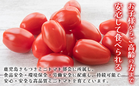 《期間限定》田淵さんちの美味しい ミニトマト シュガープラム(約1,400g)GP-2|鹿児島県 南大隅 産地直送 旬 とまと トマト ミニトマト リコピン 完熟 甘い 高糖度 野菜 やさい 送料無料
