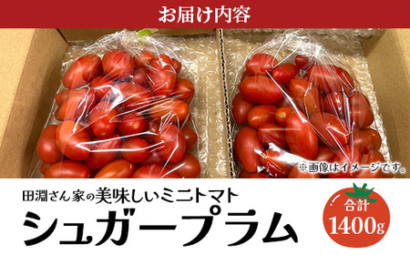《期間限定》田淵さんちの美味しい ミニトマト シュガープラム(約1,400g)GP-2|鹿児島県 南大隅 産地直送 旬 とまと トマト ミニトマト リコピン 完熟 甘い 高糖度 野菜 やさい 送料無料