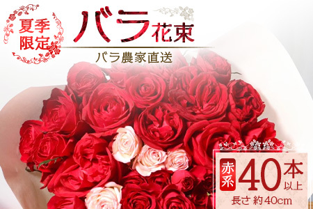 【先行予約・夏季限定 薔薇】ばら農家直送!バラ花束40本以上お届け(赤系) 【ギフト対応可】TB-5│ローズ 新鮮 花 フラワー 花束 ばら 薔薇 バラ 誕生日 記念日 結婚祝い ギフト プレゼント お祝い 贈り物 贈答 鹿児島県 南大隅町 富田バラ園