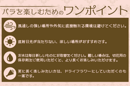 【先行予約・夏季限定 薔薇】ばら農家直送!バラ花束40本以上お届け(赤系) 【ギフト対応可】TB-5│ローズ 新鮮 花 フラワー 花束 ばら 薔薇 バラ 誕生日 記念日 結婚祝い ギフト プレゼント お祝い 贈り物 贈答 鹿児島県 南大隅町 富田バラ園