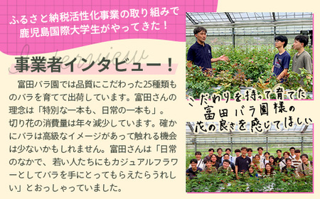 【先行予約・夏季限定 薔薇】ばら農家直送!バラ花束40本以上お届け(赤系) 【ギフト対応可】TB-5│ローズ 新鮮 花 フラワー 花束 ばら 薔薇 バラ 誕生日 記念日 結婚祝い ギフト プレゼント お祝い 贈り物 贈答 鹿児島県 南大隅町 富田バラ園