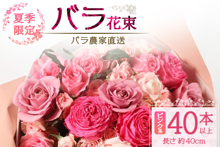 【先行予約・夏季限定 薔薇】ばら農家直送!バラ花束40本以上お届け(ピンク系) 【ギフト対応可】TB-6│ローズ 新鮮 花 フラワー 花束 ばら 薔薇 バラ 誕生日 記念日 結婚祝い ギフト プレゼント お祝い 贈り物 贈答 鹿児島県 南大隅町 富田バラ園