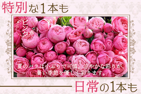 【先行予約・夏季限定 薔薇】ばら農家直送!バラ花束40本以上お届け(ピンク系) 【ギフト対応可】TB-6│ローズ 新鮮 花 フラワー 花束 ばら 薔薇 バラ 誕生日 記念日 結婚祝い ギフト プレゼント お祝い 贈り物 贈答 鹿児島県 南大隅町 富田バラ園