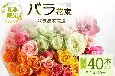 【先行予約・夏季限定 薔薇】ばら農家直送!バラ花束40本以上お届け(色はおまかせ) 【ギフト対応可】TB-8│ローズ 新鮮 花 フラワー 花束 ばら 薔薇 バラ 誕生日 記念日 結婚祝い ギフト プレゼント お祝い 贈り物 贈答 鹿児島県 南大隅町 富田バラ園