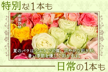 【先行予約・夏季限定 薔薇】ばら農家直送!バラ花束40本以上お届け(色はおまかせ) 【ギフト対応可】TB-8│ローズ 新鮮 花 フラワー 花束 ばら 薔薇 バラ 誕生日 記念日 結婚祝い ギフト プレゼント お祝い 贈り物 贈答 鹿児島県 南大隅町 富田バラ園