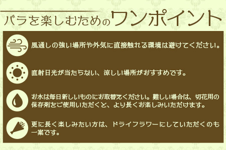 【先行予約・夏季限定 薔薇】ばら農家直送!バラ花束40本以上お届け(色はおまかせ) 【ギフト対応可】TB-8│ローズ 新鮮 花 フラワー 花束 ばら 薔薇 バラ 誕生日 記念日 結婚祝い ギフト プレゼント お祝い 贈り物 贈答 鹿児島県 南大隅町 富田バラ園