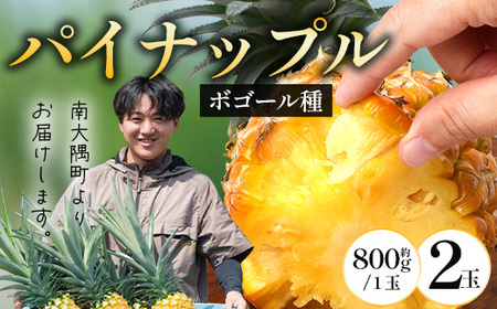 【先行受付】パイナップル/ボゴール種 (約800g×2玉) ≪2026年7月下旬以降順次発送≫ DS-004 |パイン パイナップル パインアップル フルーツ ボゴールパイン スナックパイン 産地直送 送料無料 鹿児島県 南大隅町 株式会社デラセーラ