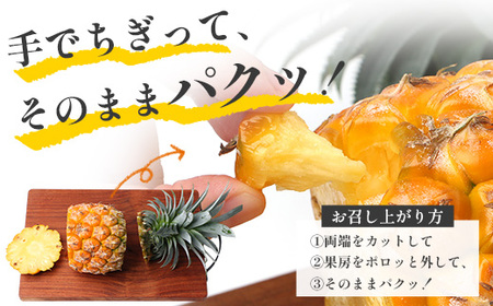 【先行受付】パイナップル/ボゴール種 (約800g×2玉) ≪2026年7月下旬以降順次発送≫ DS-004 |パイン パイナップル パインアップル フルーツ ボゴールパイン スナックパイン 産地直送 送料無料 鹿児島県 南大隅町 株式会社デラセーラ