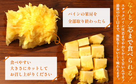 【先行受付】パイナップル/ボゴール種 (約800g×6玉) ≪2026年7月下旬以降順次発送≫ DS-1 ｜パイン パイナップル パインアップル フルーツ ボゴールパイン スナックパイン 産地直送 送料無料 鹿児島県 南大隅町 株式会社デラセーラ